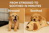 MyFurTime ™ Pet  Anxiety Relief Toy